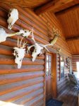 Hunting Cabin Decor Outside Chaparral Suite